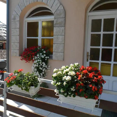 Guest house & Marina View Vodice