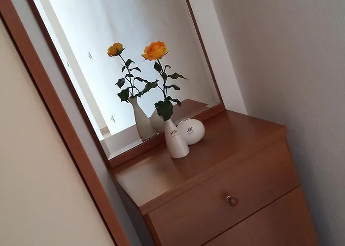 & Marina View ゲストハウス 3*